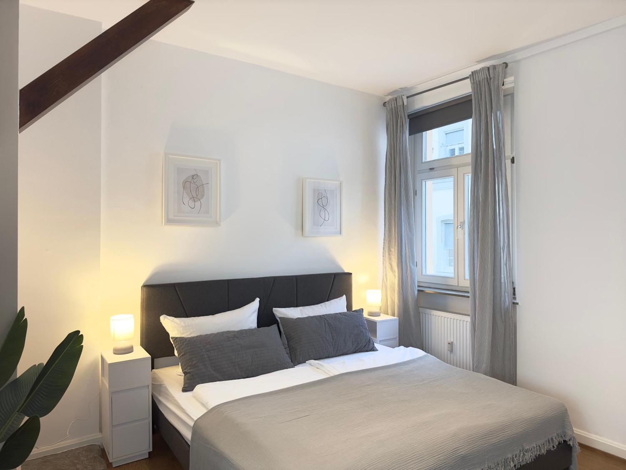 Luxury Old Town Suite - Xxl Terrasse & Xxl Penthouse Heidelberg Extérieur photo