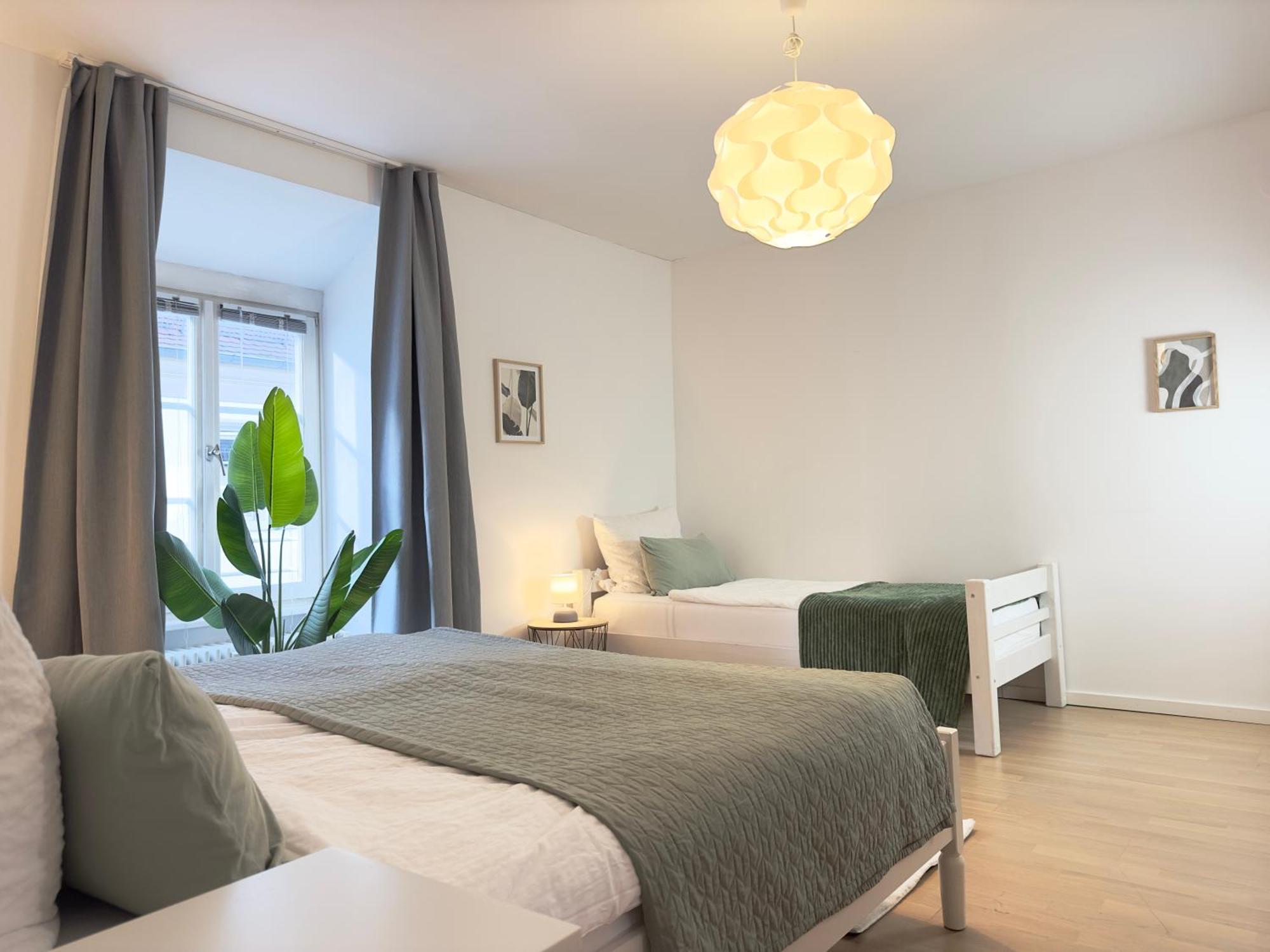 Luxury Old Town Suite - Xxl Terrasse & Xxl Penthouse Heidelberg Extérieur photo