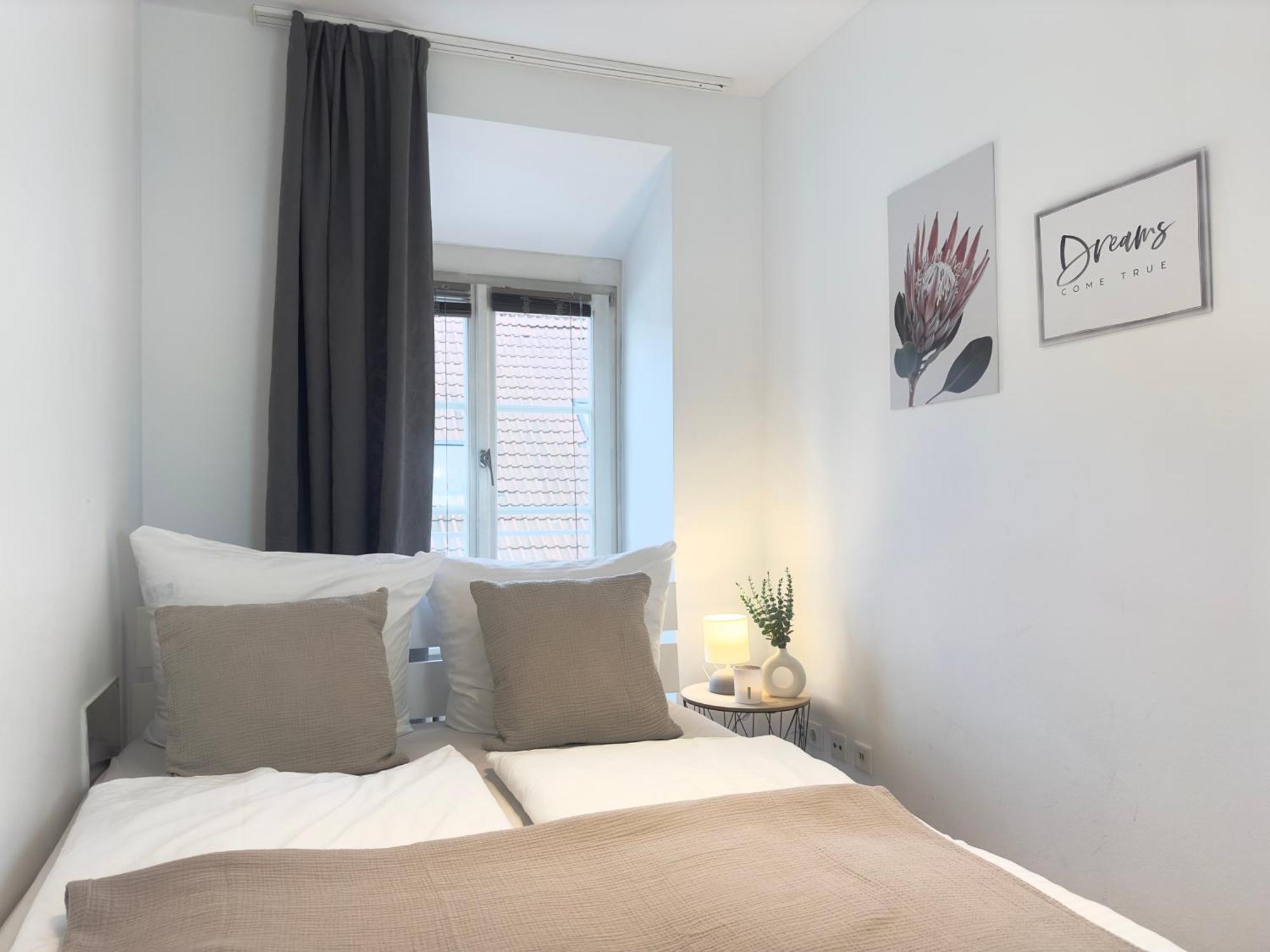 Luxury Old Town Suite - Xxl Terrasse & Xxl Penthouse Heidelberg Extérieur photo